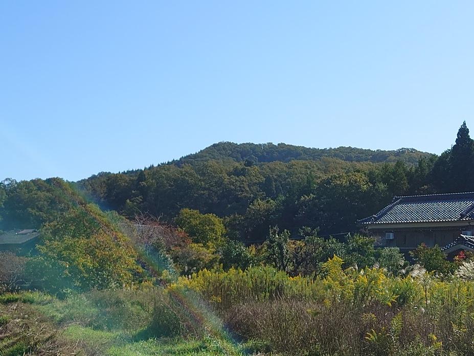 織田城