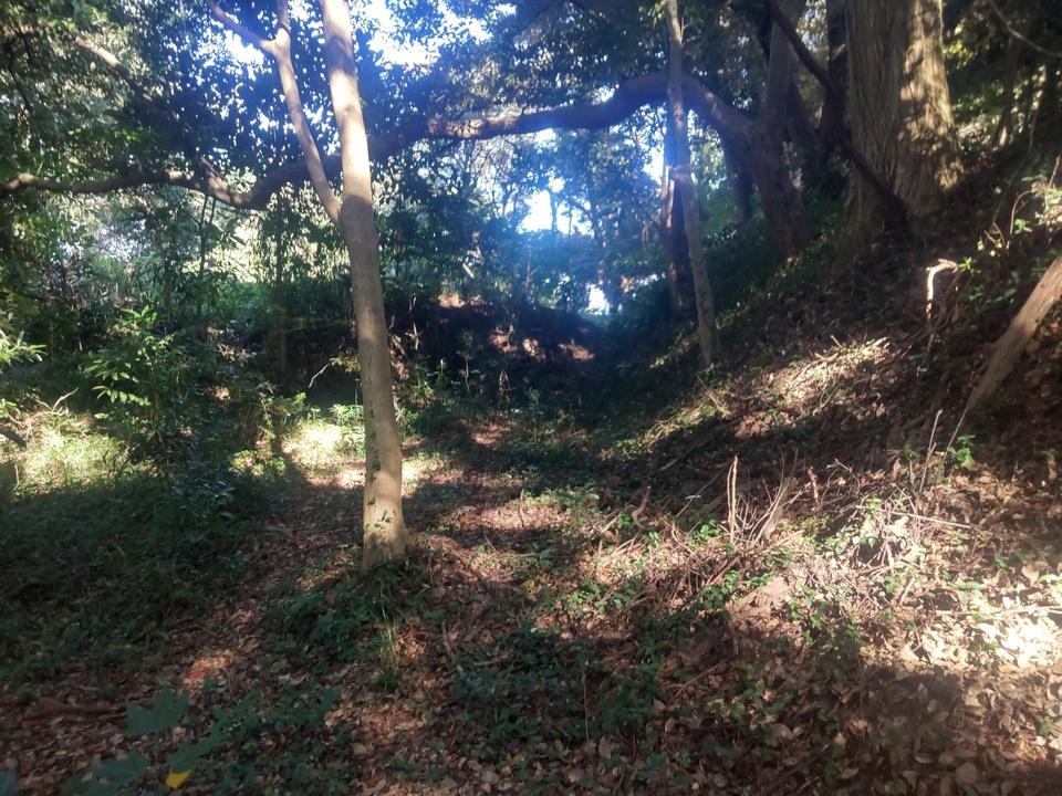 宇津山城