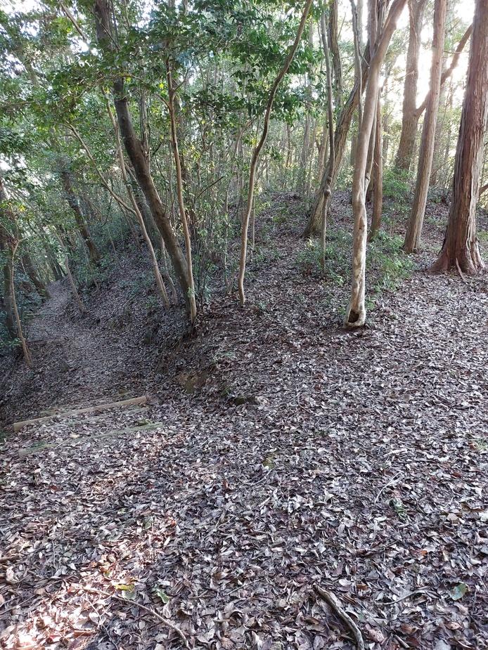 金川城