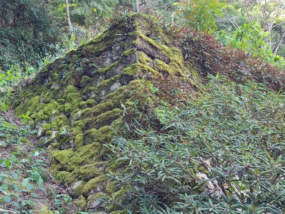唐船城