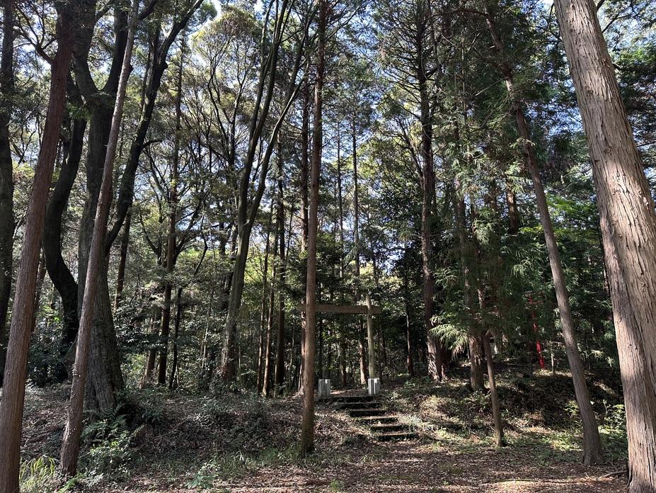 野田城