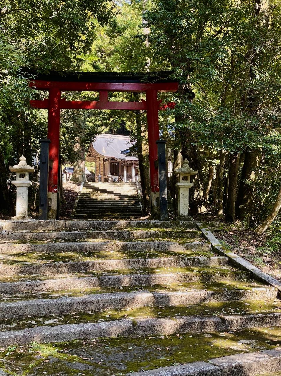 高野城