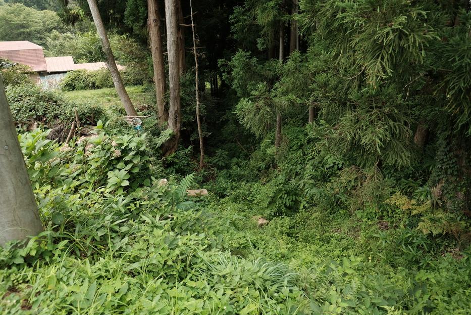 人首城