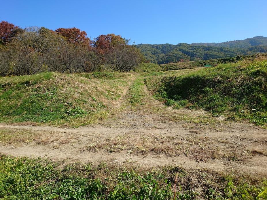 福与城