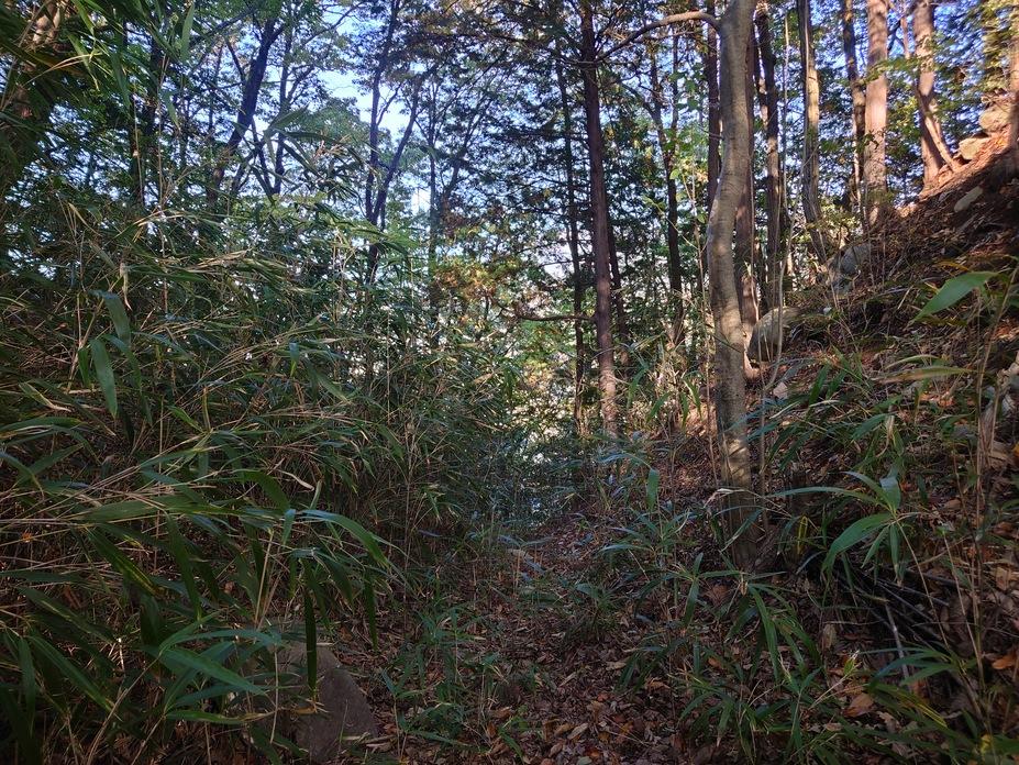 船山城