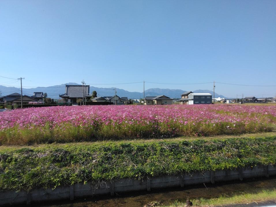 千種城