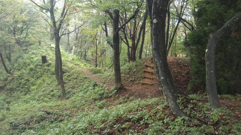 波多野城