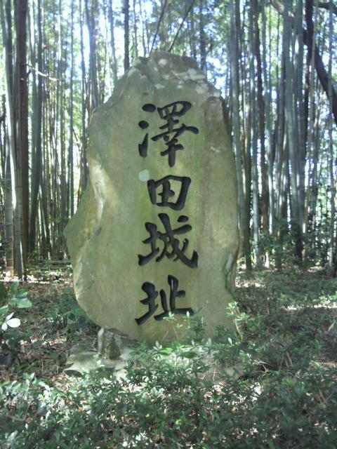 沢田城