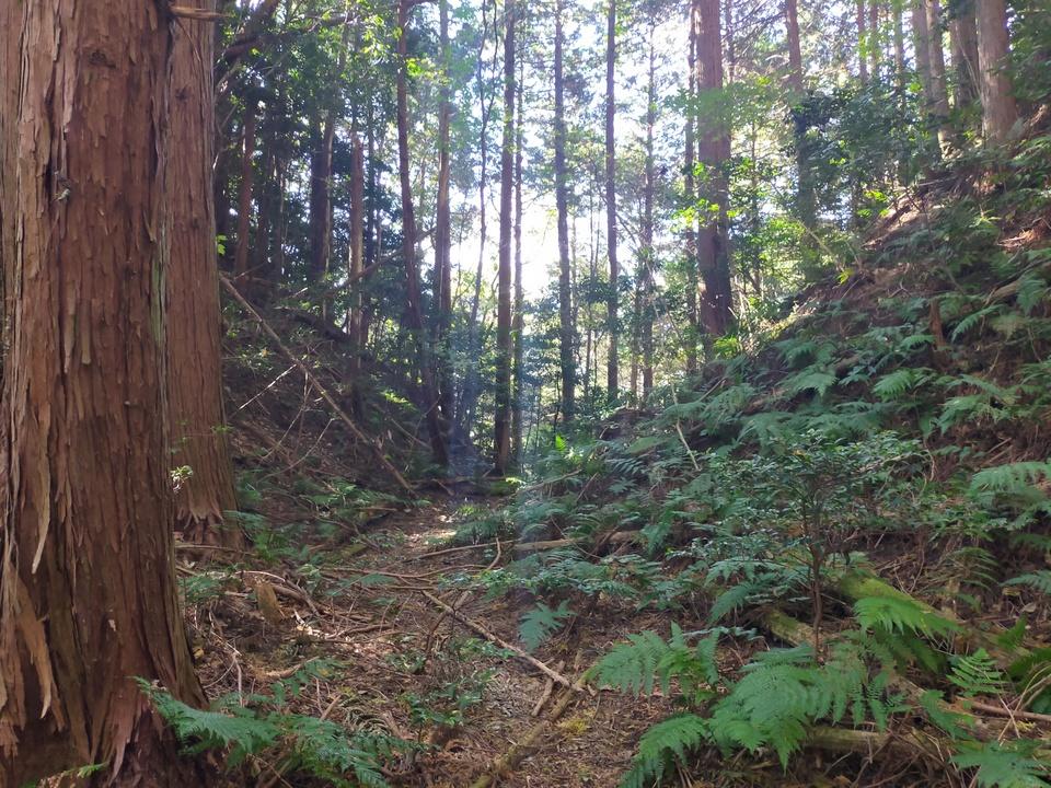 龍王山城