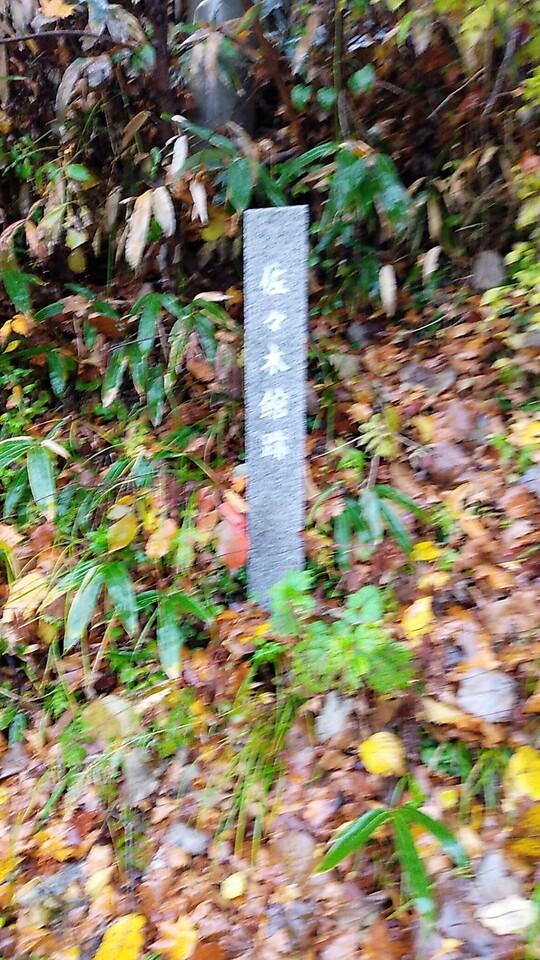 田子館