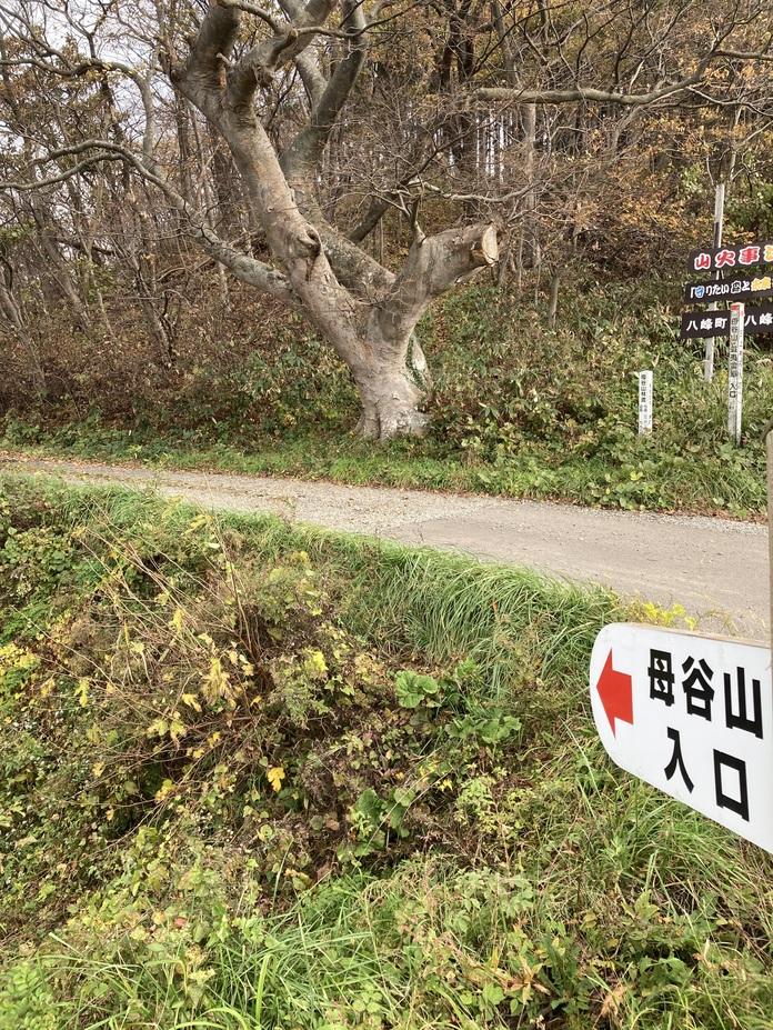 蝦夷館