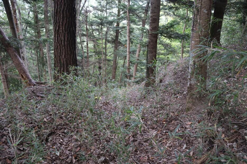 白山城