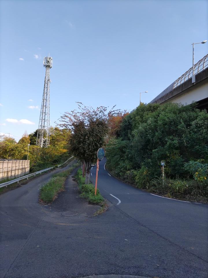 赤山城