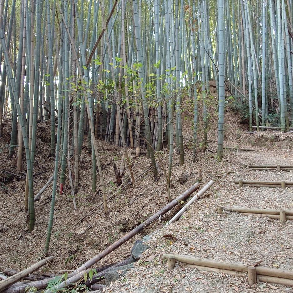 港山城