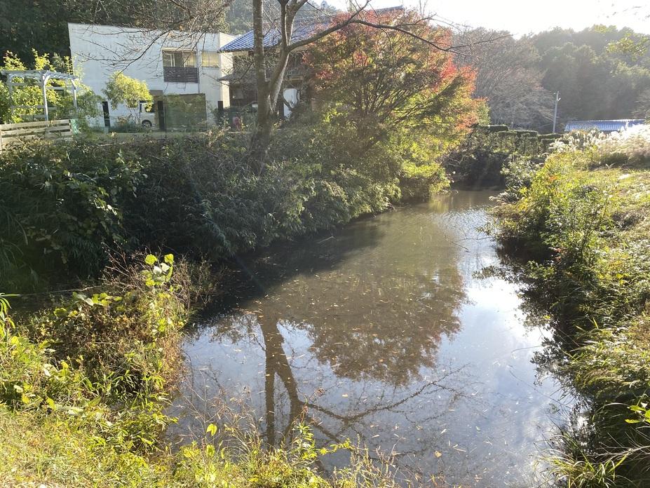 桜生城