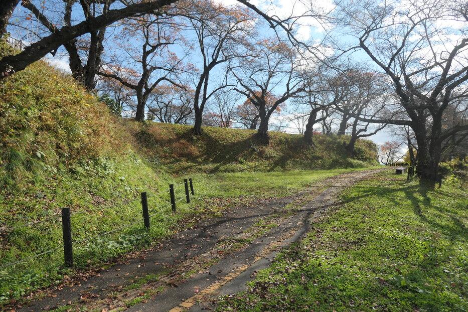 高水寺城