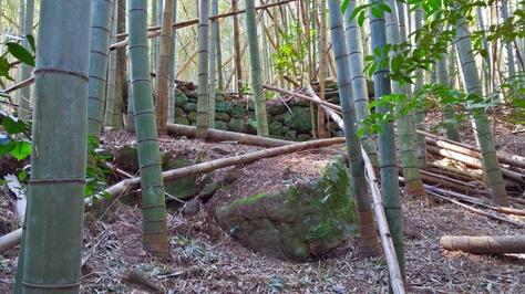 箱柳城