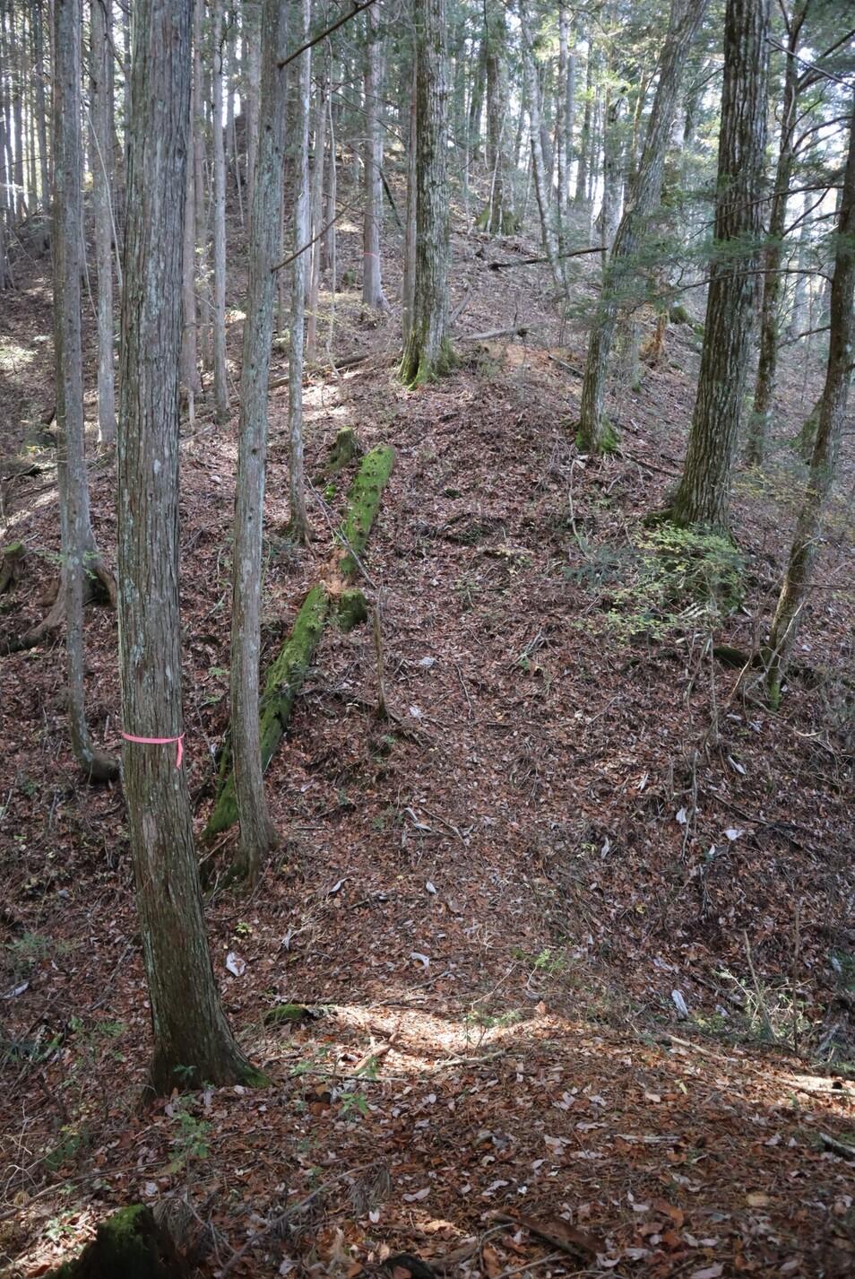 福島城