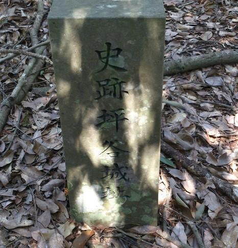 坪谷城