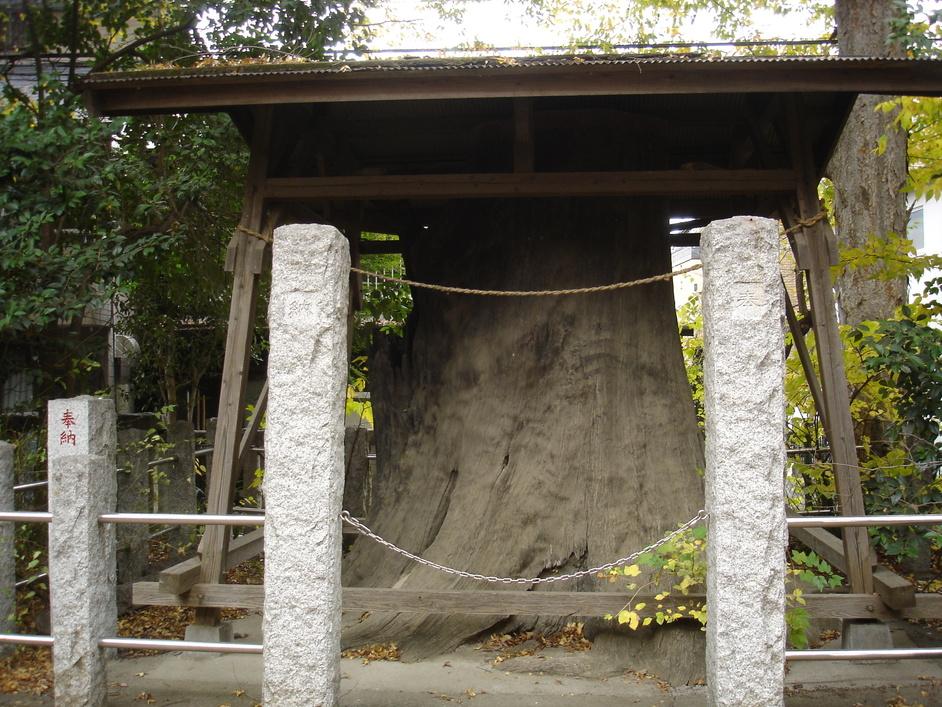 丸子城