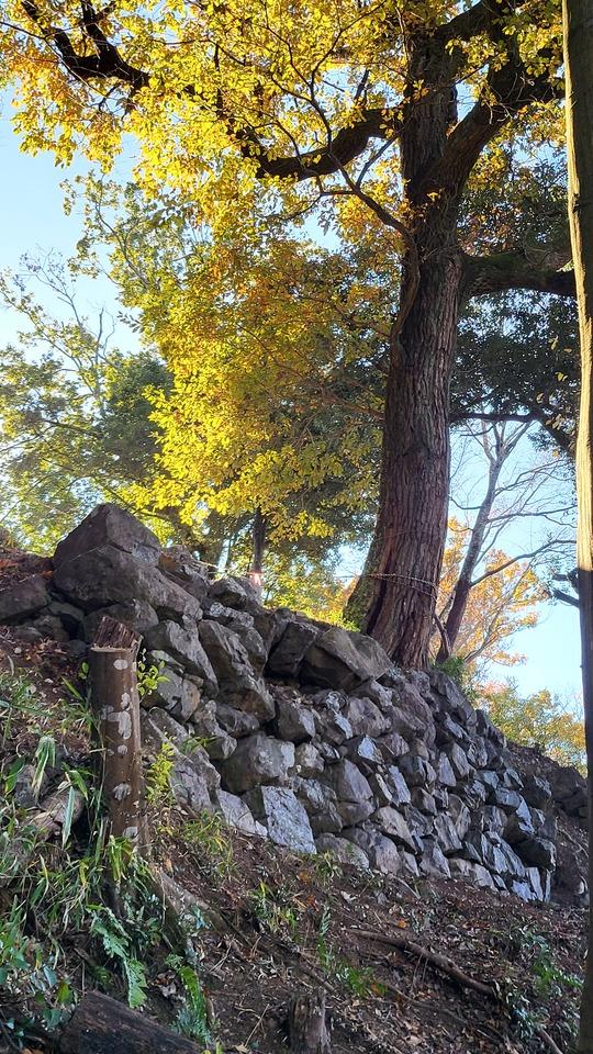 金山城