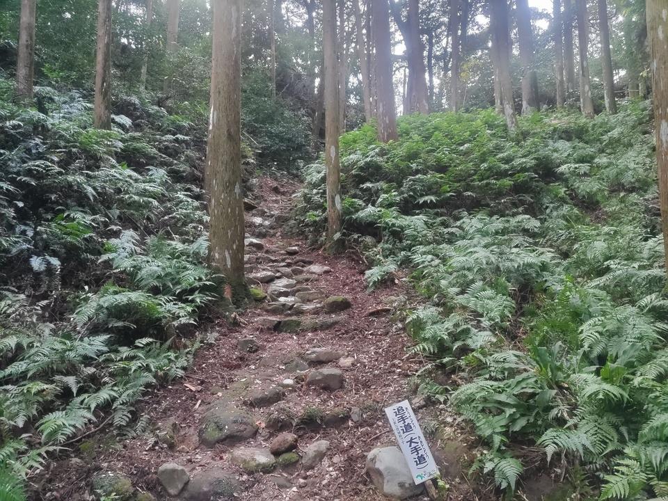 直谷城