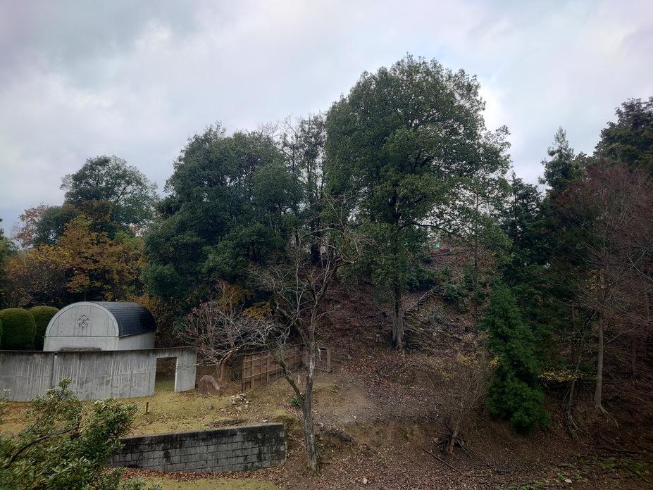 猿掛城
