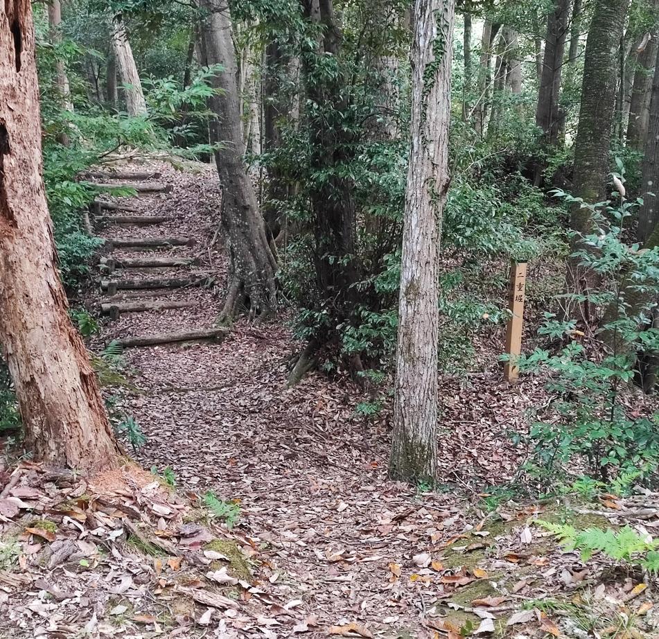 狩野城