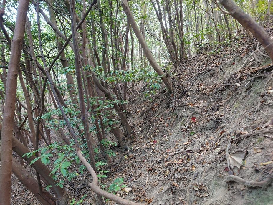 高山城