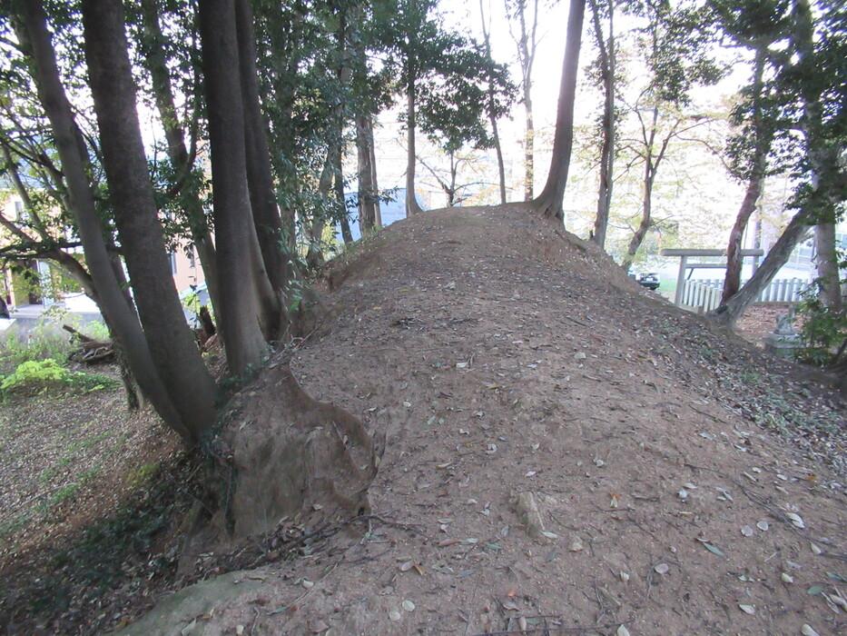 多賀谷城