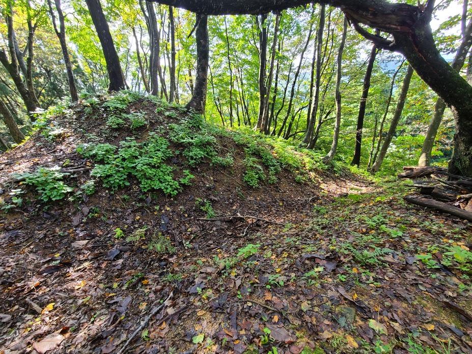 波多野城
