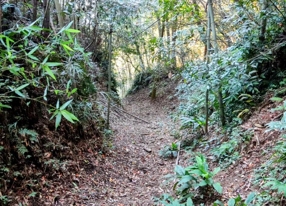 穂北城