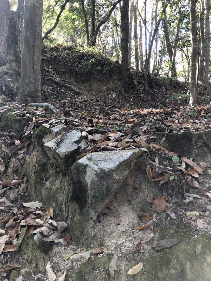 新高山城