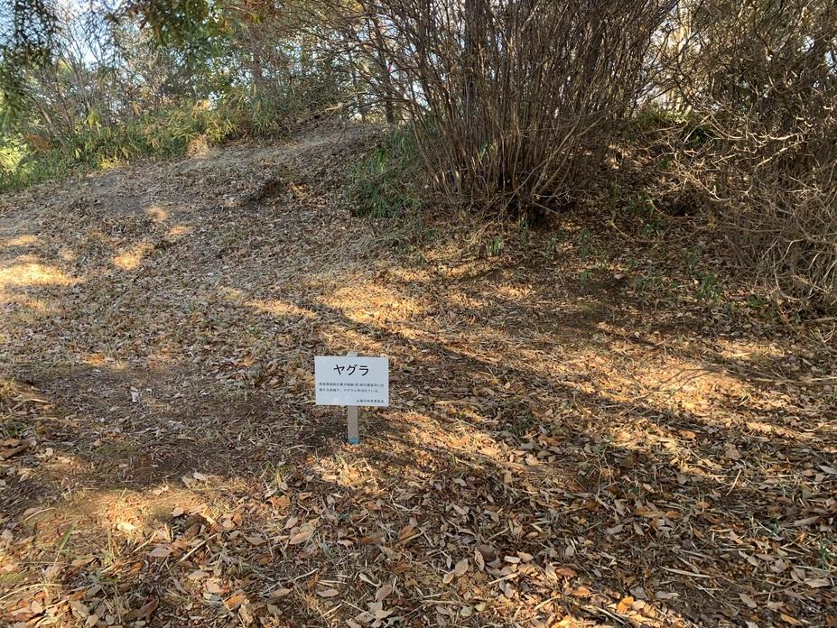 西長尾城