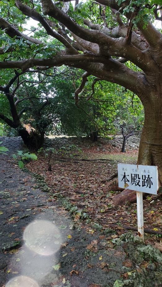 八重瀬城