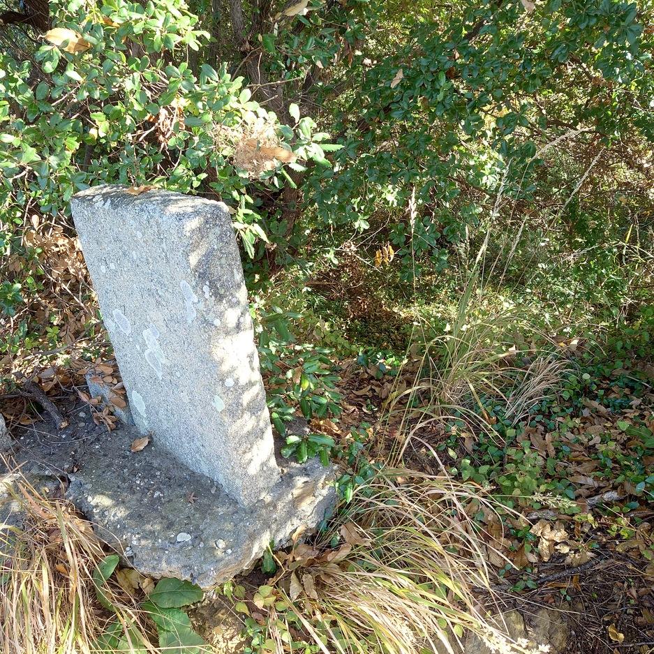 津田城