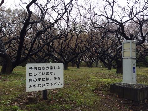赤塚城