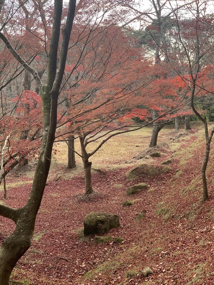 正法寺山荘