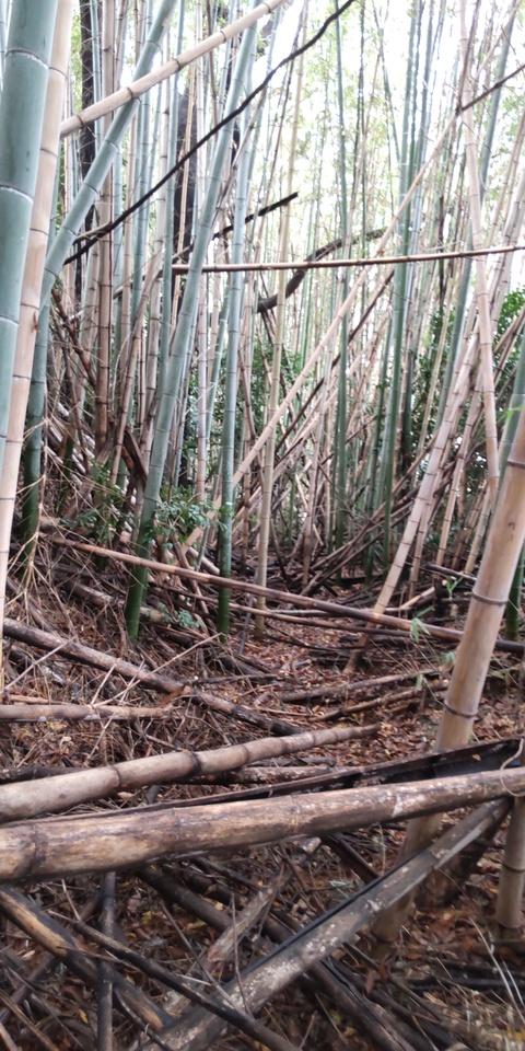 上末城