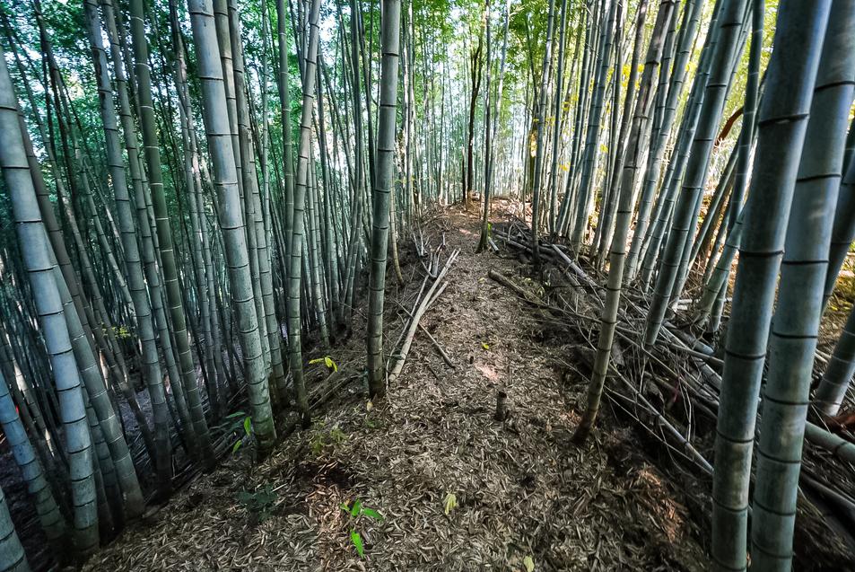 木原城