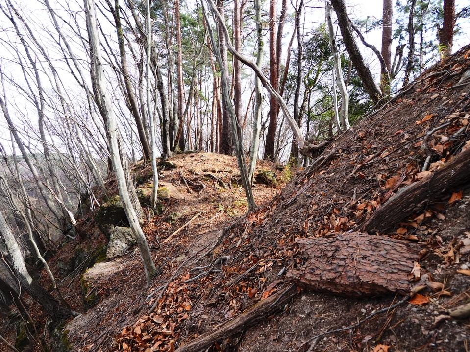 尻高城