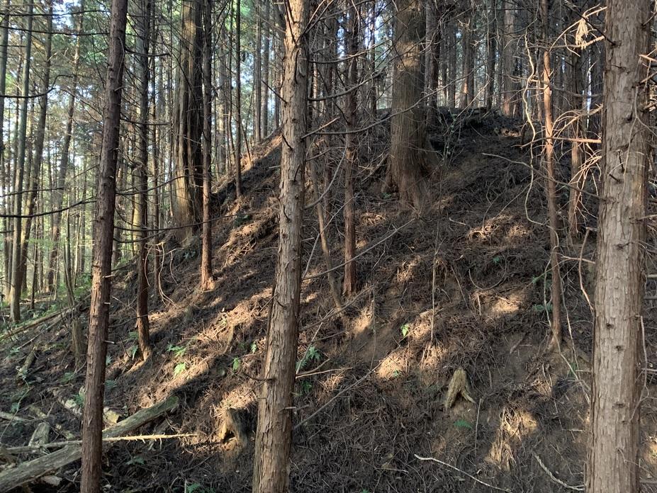 福住城