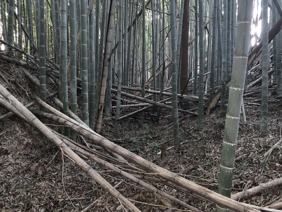 窪之庄城