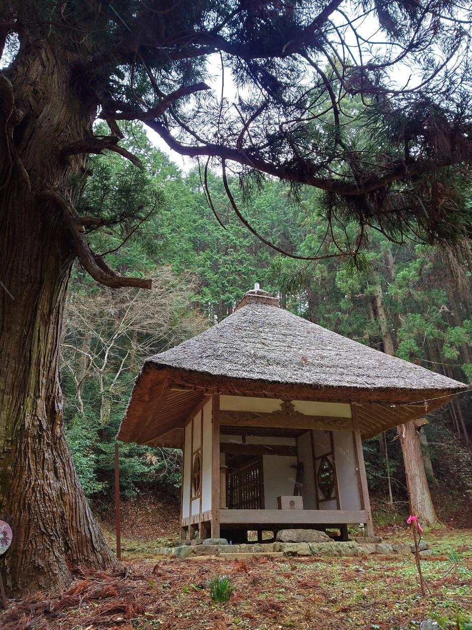 三滝城