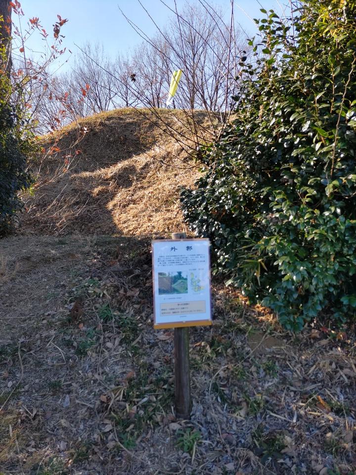 杉山城