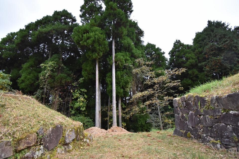 松尾城