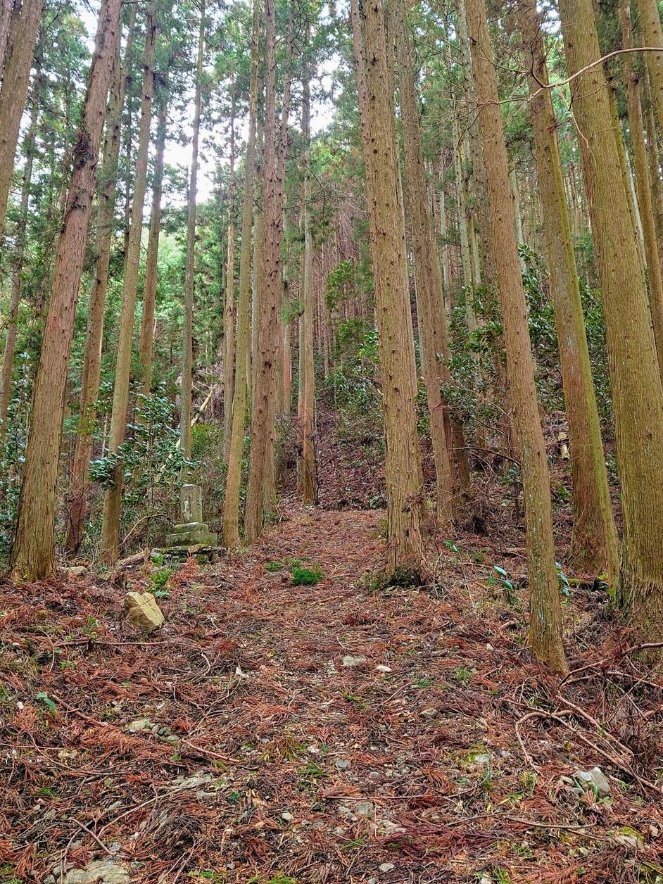 三滝城