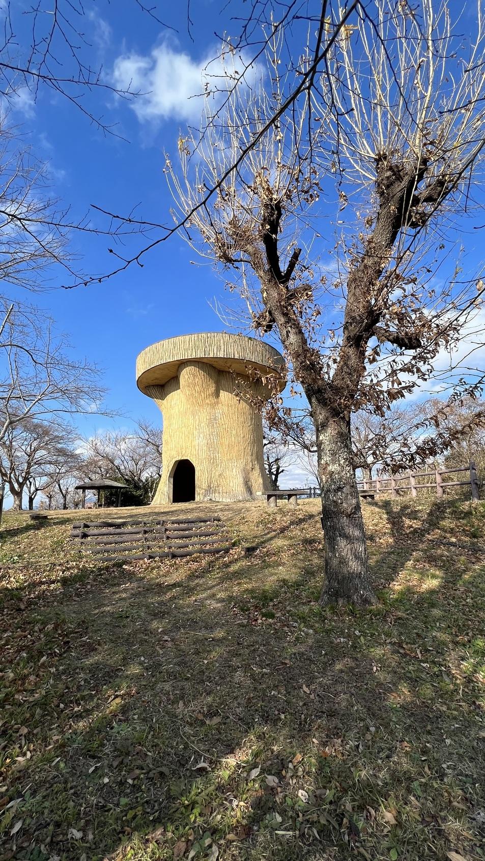 戸倉城