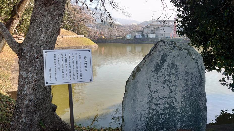 柳本城