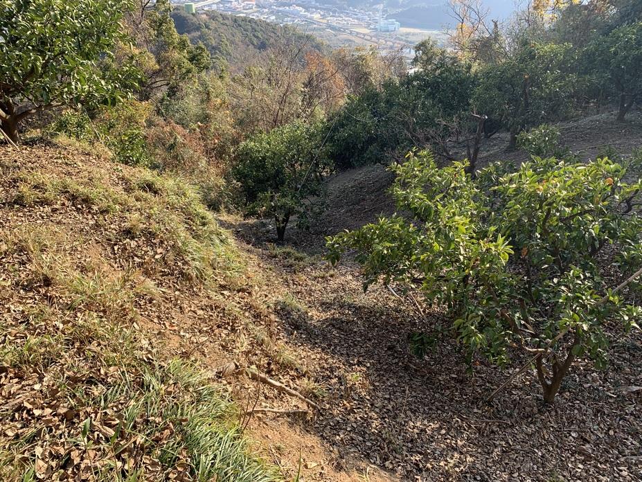 岩室城